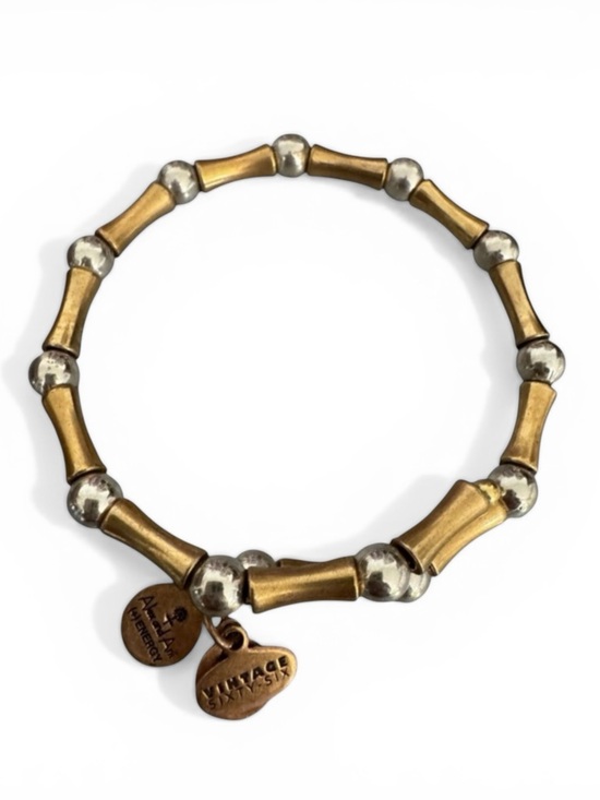 Alex and Ani Jewelry - Alex and Ani - Vintage Sixty Six Two-Tone Wrap Bead Bracelet